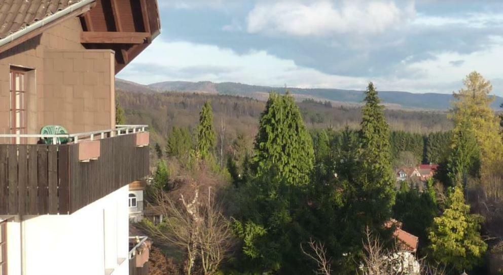 Appartement Jagdschloesschen-Harz à Bad Sachsa Extérieur photo